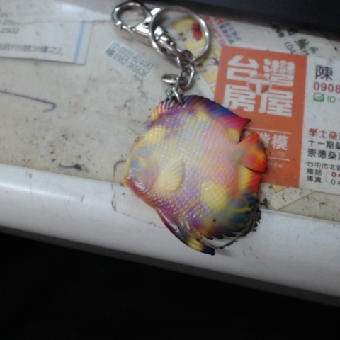 觀看圖片2