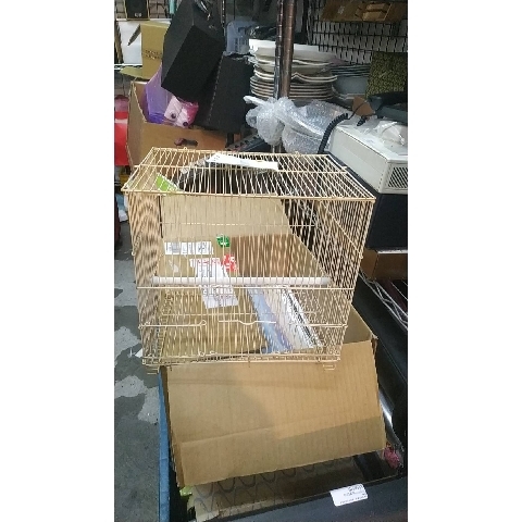 觀看圖片4