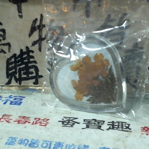 觀看圖片2