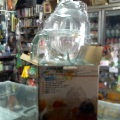 觀看圖片1