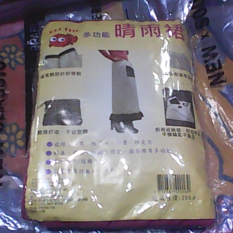 進入明細
