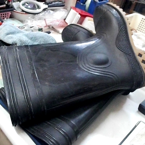 觀看圖片1