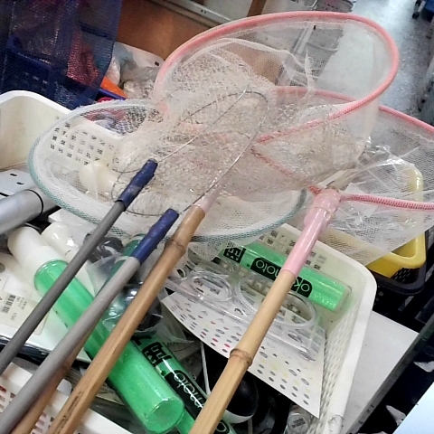 觀看圖片1