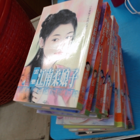 進入明細