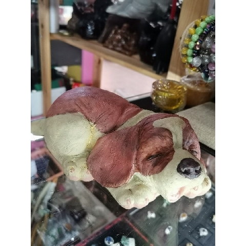 觀看圖片4