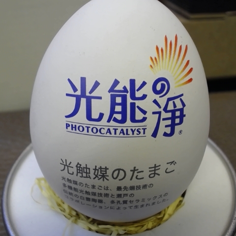 觀看圖片2