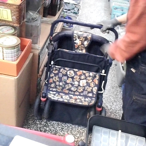 觀看圖片1
