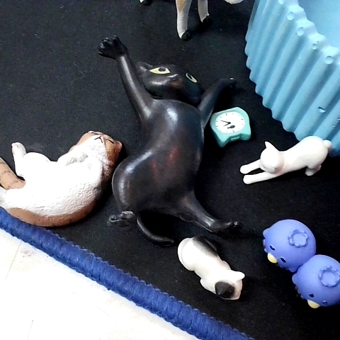 觀看圖片2