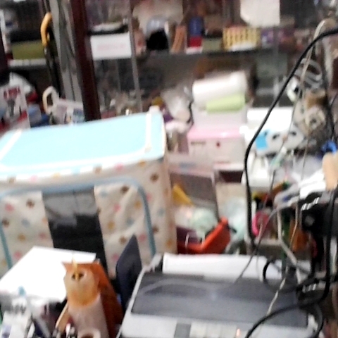 觀看圖片3
