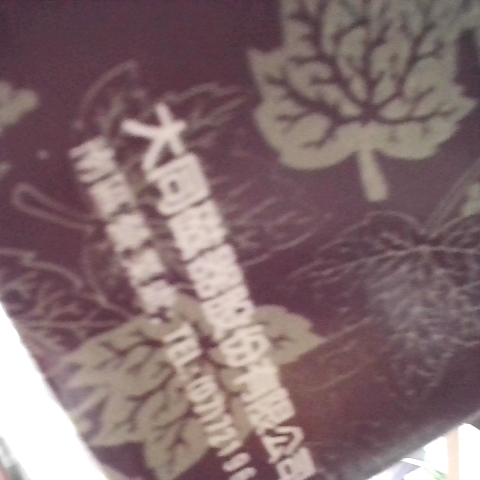 觀看圖片4