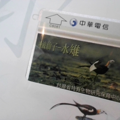 觀看圖片1