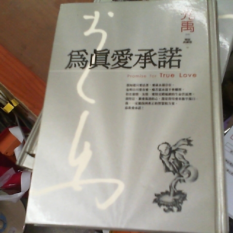 觀看圖片1