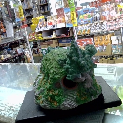 觀看圖片2