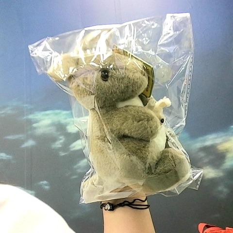 觀看圖片2