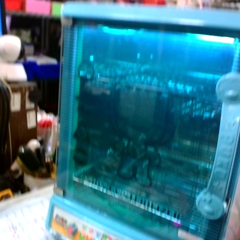 觀看圖片2
