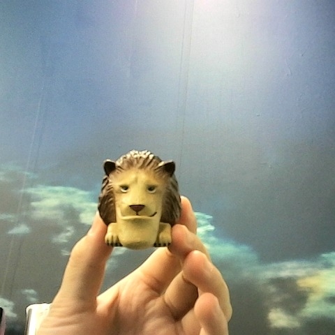 觀看圖片1