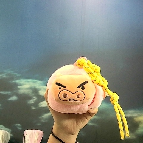 觀看圖片1
