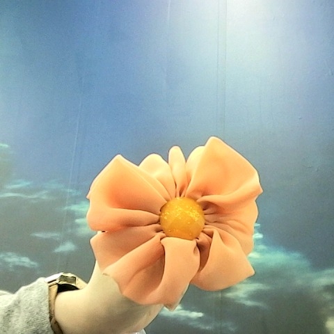 觀看圖片1