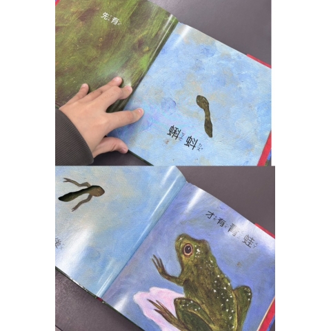 觀看圖片3
