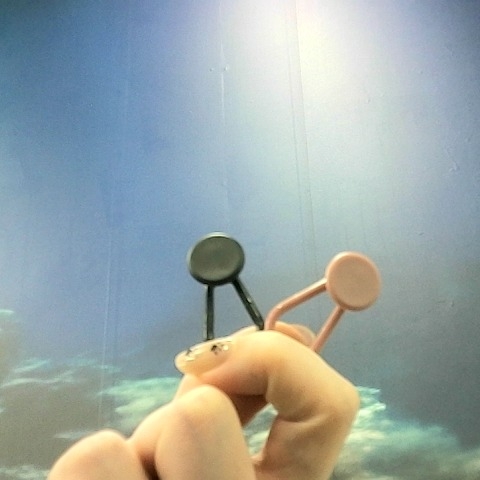 觀看圖片1
