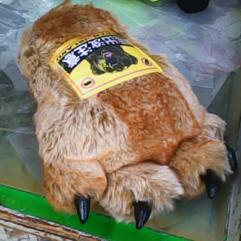 觀看圖片1