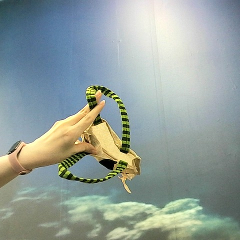 觀看圖片3