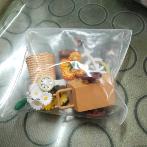 進入明細
