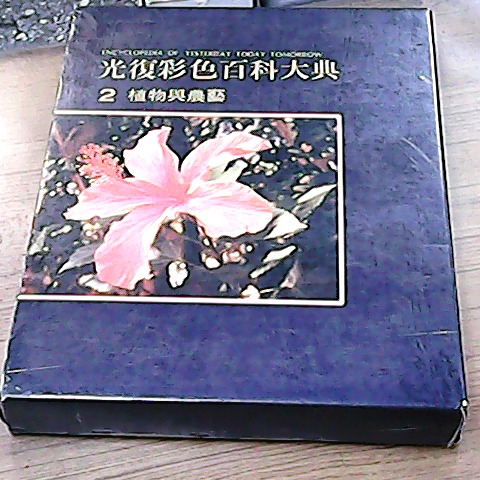 觀看圖片3