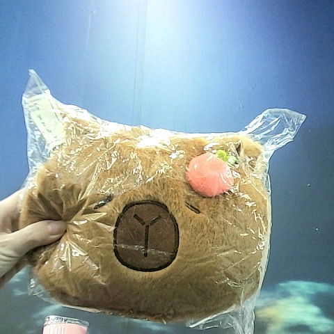 觀看圖片4