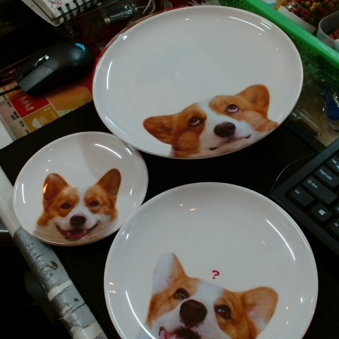 觀看圖片4