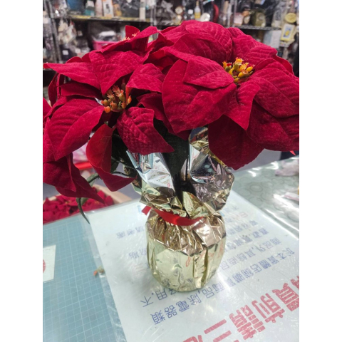 觀看圖片1