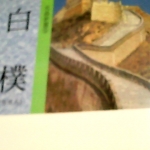 觀看圖片4